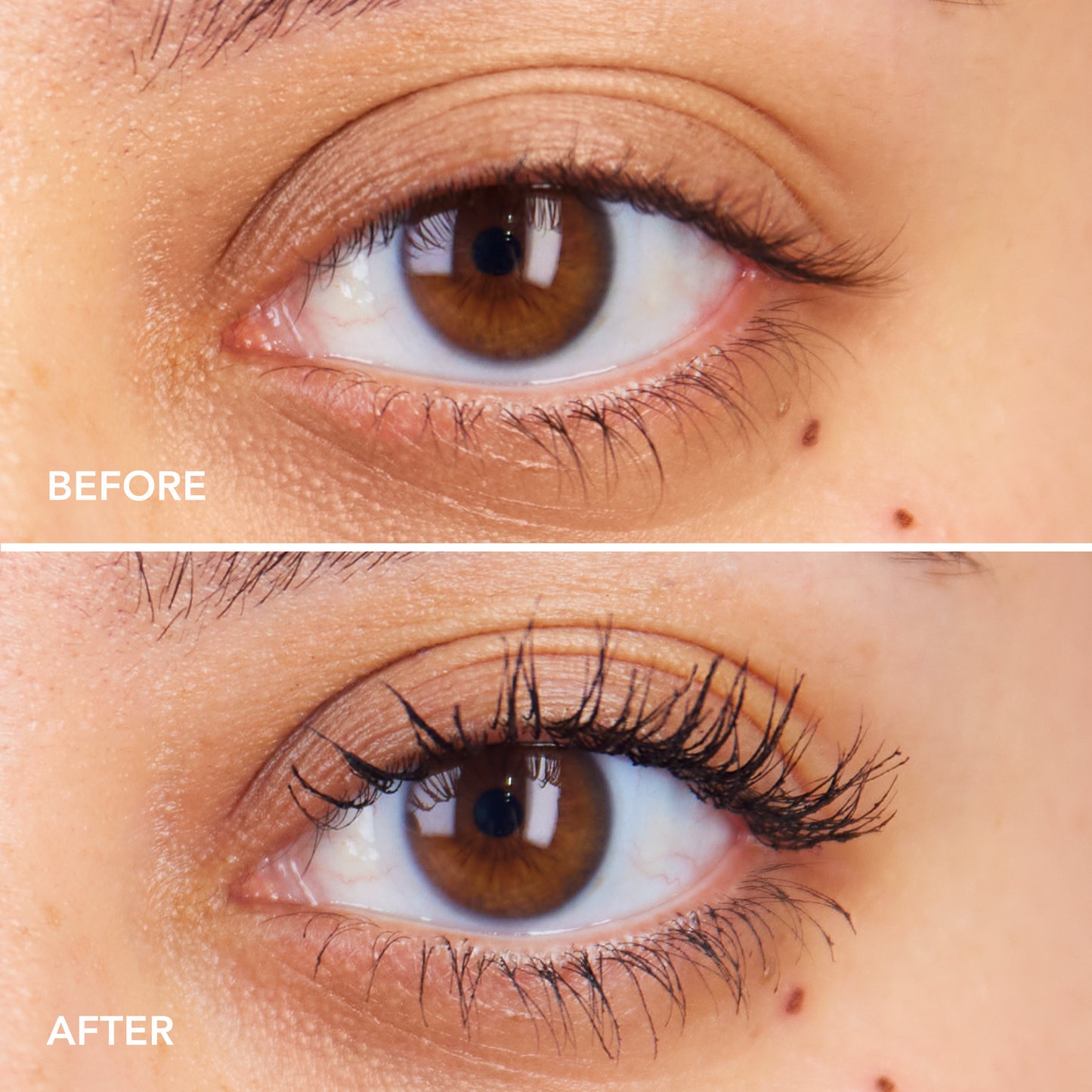 Premium Flüssig-Wimperntusche für Wimpernverlängerungen